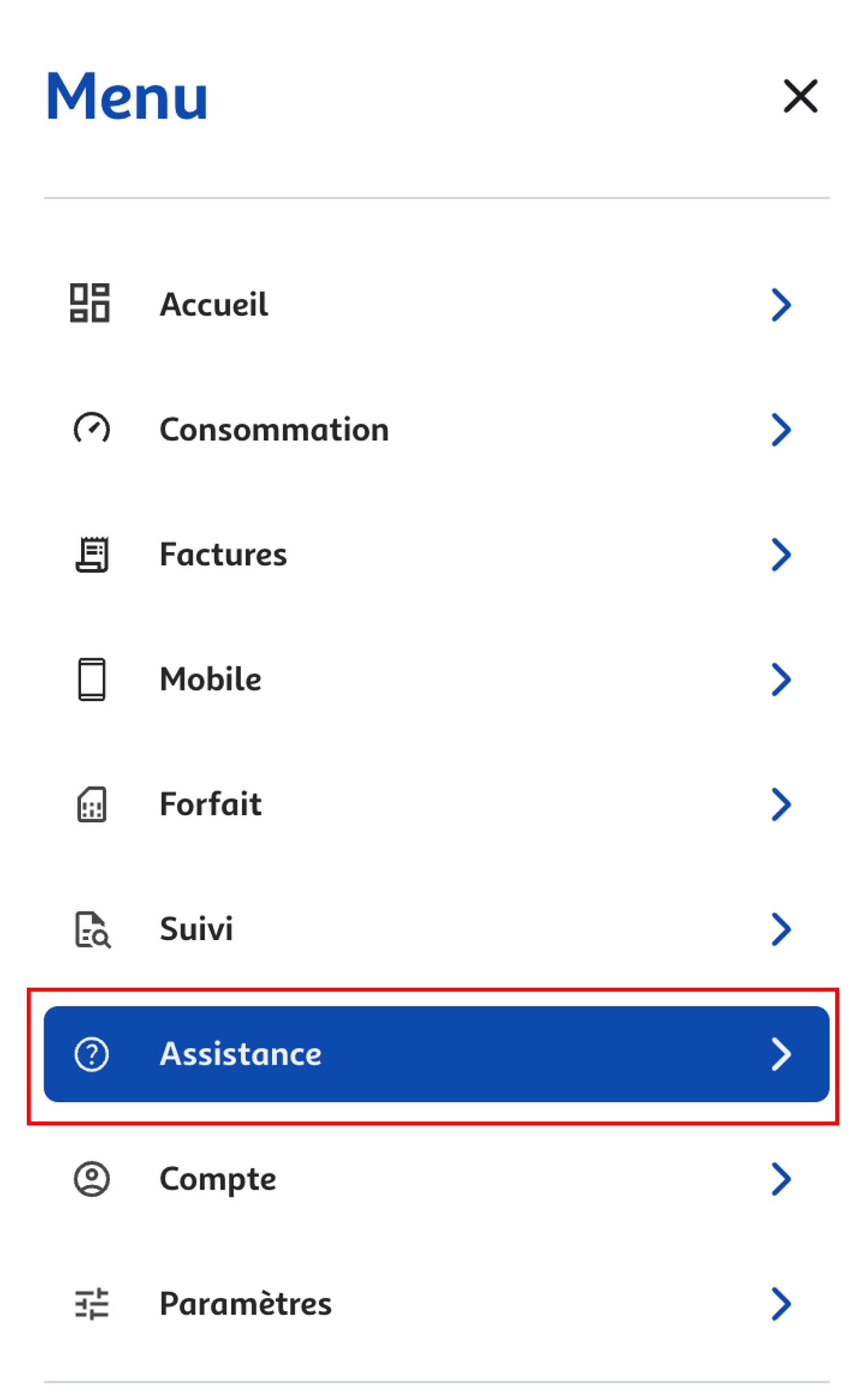 Etape 2 - Cliquer sur "Assistance" (Suspendre ligne Auchan Télécom)